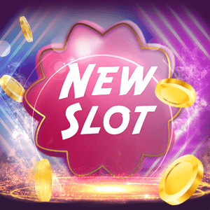 Collection of slots
